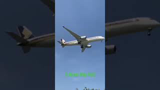 Singapore Airlines Airbus A350 Landing @changiairport When Can We Fly Again #shorts #youtubeshorts