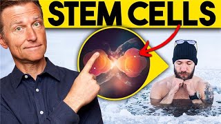 Regenerate Your Stem Cells