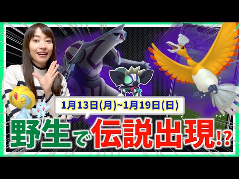 野生で伝説ポケモン出現！？シャドウパルキア・ホウオウだけじゃない!?1月13日~1月19日までの週間攻略ガイド【ポケモンGO】