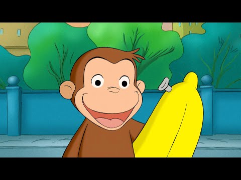 George's Candy Stop!  🐵 Curious George | Animal Friends