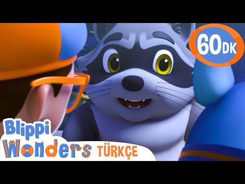 Gececi Canlılar | Blippi Türkçe - Çocuklar için Eğitici Videolar