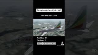 Ethiopian Airlines Flight 302 | Air Disaster Explained