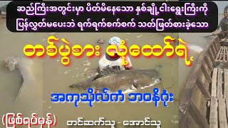 နှစ်ချို့ငါးရွေးကြီးကို သတ်စားလိုက်တဲ့ တစ်ပွဲစားလုံထော်ရဲ့ အကုသိုလ်ကံဘဝနိဂုံး#ဖြစ်ရပ်မှန်အသံဇာတ်လမ်း