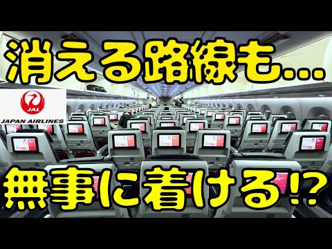 【何事もなく！と思いきや...】まもなくJALが撤退してしまう路線にも乗り福岡→東京を移動すると...