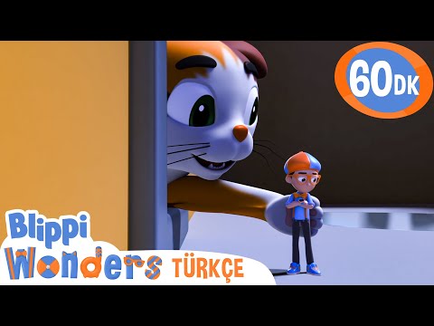 Kedi Bıyıkları | Blippi Türkçe - Çocuklar için Eğitici Videolar