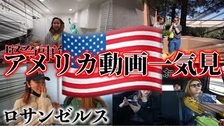 【作業・寝落ち用】INアメリカ動画一気見！【平成フラミンゴ　切り抜きch】