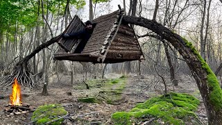 Building a Flying Treehouse Is a Reliable Way to Survive a Wild Boar Den