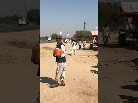 राजस्थान की मिर्ची ❤️🙏🙏 #villagelife #shorts #yutubeshorts #rajasthaniculture #viralreelsyoutube