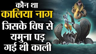 जानिए वो कारण जिसकी वजह से कालिया नाग यमुना में छिपा बैठा था ? Kalia Naag And Krishna