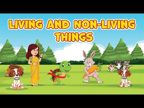 Living and Non-Living Things Really Different? I Living Things vs Non-Living Things | Science