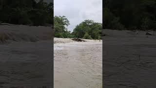 flash flood in village