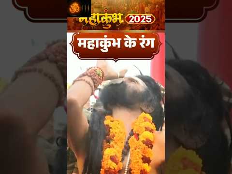 #महाकुंभमेला2025 #latestnews #भास्करन्यूज़ #subscribe #shorts #shortvideo #shortsfeed