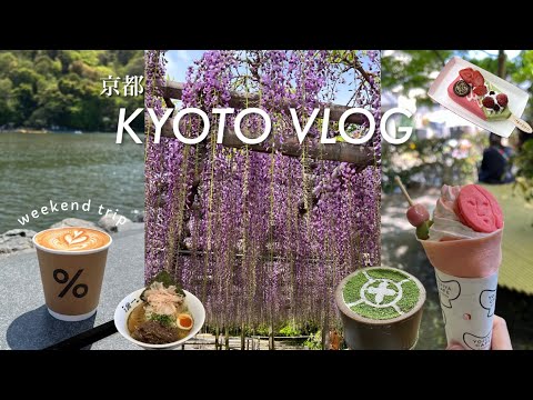 【JAPAN Kyoto vlog】traveling alone | Uji＆Arashiyama、ArabicaCoffee、Byodoin、Ramen、Greenteasweets(sub