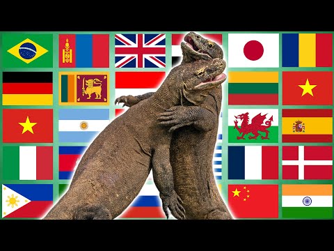 Komodo Dragon in 70 Languages Meme