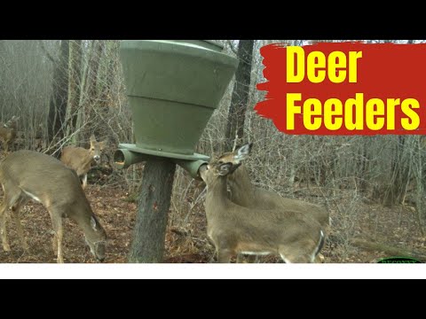 The Best Deer Feeders for Successful Hunts!