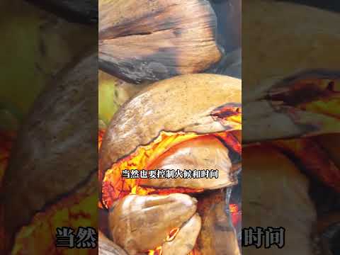 烤椰子，一种风味非常独特的热带美食丨有趣科普#科普 #有趣