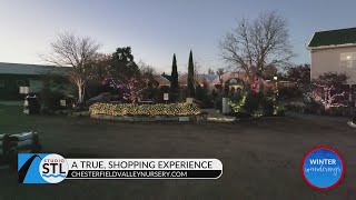 Find the perfect Christmas tree and holiday décor at Chesterfield Valley Nursery