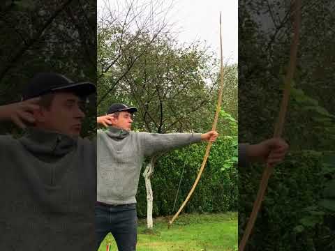 Yew Longbow in Action