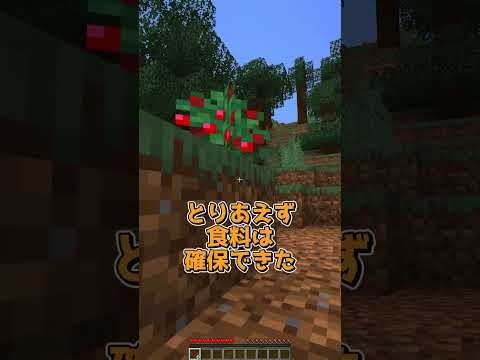 見たブロックが消える世界 #マイクラ #マインクラフト #minecraft