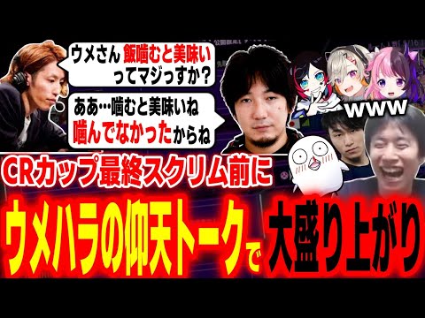 「飯を噛むと美味い」ことを最近初めて知ったウメハラに爆笑するハイタニたち【釈迦 ウメハラ うるか 天鬼ぷるる 小森めと 立川 おぼ ハイタニ】【CRカップ SF6 ストリートファイター6】