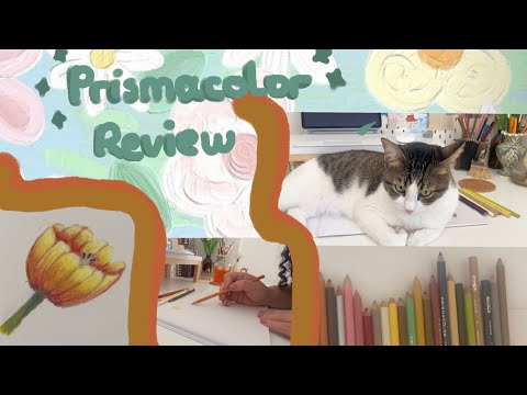 Prismacolor Colored Pencils Review