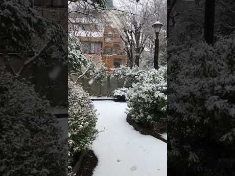 ❄️東京今天下大雪啦❄️在東京的朋友注意保暖喔😁