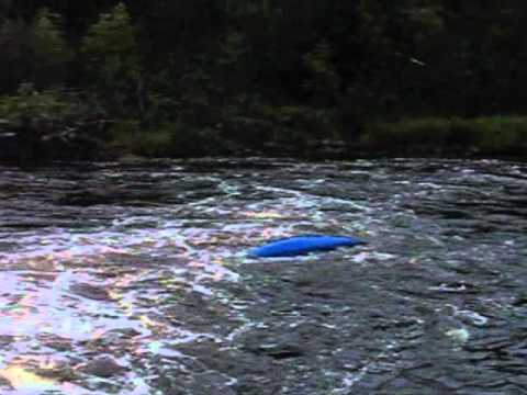 Charlton Kayaking