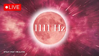 BLOOD MOON ECLIPSE • MARCH 2025 • MANIFEST YOUR DREAMS • MIRACLE FREQUENCY • 1111Hz