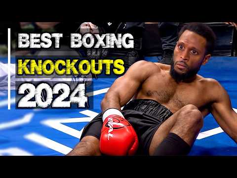 Best Boxing Knockouts of 2024