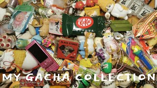 trinket vlog 🍀gachapon collection tour (miniature food, characters, animals, etc)