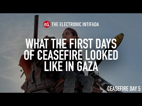 What the first days of ceasefire looked like in Gaza, with Donya Abu Sitta