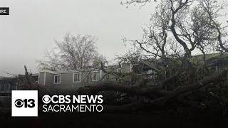 Tree falls onto apartment building in North Highlands