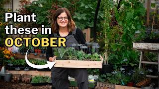 OCTOBER PLANTING GUIDE: Top Veggies, Flowers, and Herbs for Your Fall Garden