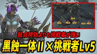 【装備解説】弱点特効よりも挑戦者？黒蝕一体Ⅱを採用した氷属性接撃ビンの最強装備構成を紹介！【モンハンワイルズ/MHWilds/弓/Bow】