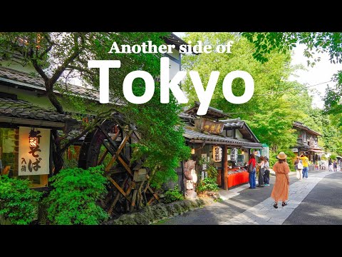 Day Trip to Rural Tokyo, 40 Minutes from Shinjuku | Chofu & Hachioji | JAPAN TRAVEL VLOG